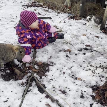 Baby Kayla Plays With Her Bunnies in the Snow ❄️🐰
