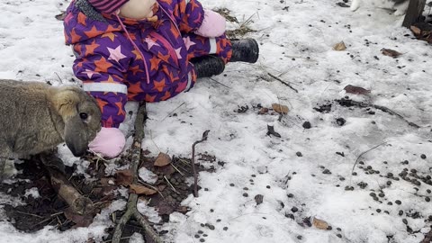 Baby Kayla Plays With Her Bunnies in the Snow ❄️🐰