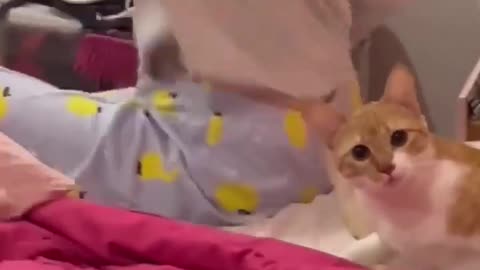😂🐶 You Won't Believe This Dog's Reaction! | FunFM