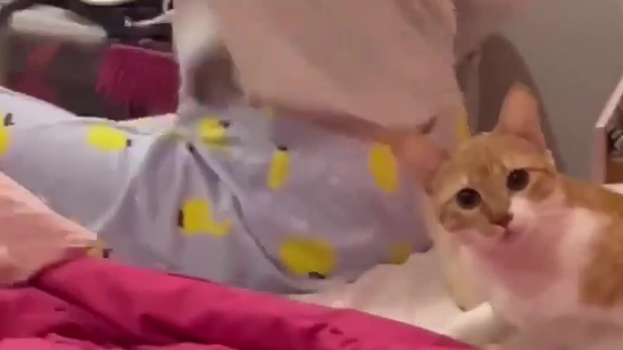 😂🐶 You Won't Believe This Dog's Reaction! | FunFM