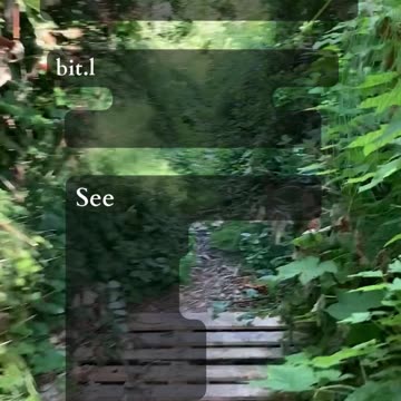 Don't Wait Too Long | Path and Tarot Reading