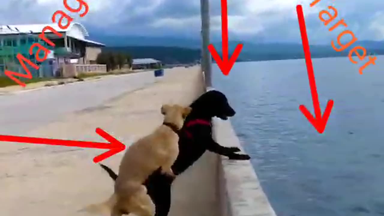 Funny Meams 😂 || Real Life Meams 🔥 || Video by