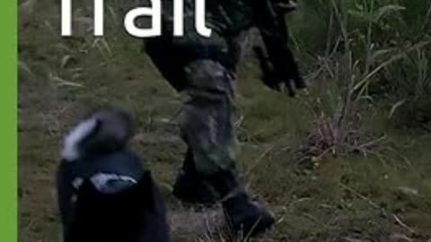 Sgt WarDawg TV® - 24/7