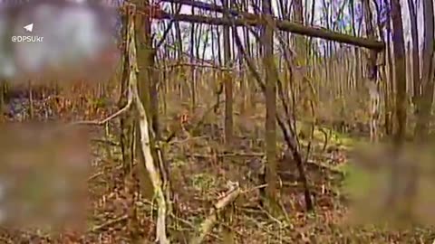 Bomber Drone Slinging Grenades into Russian Assault Group