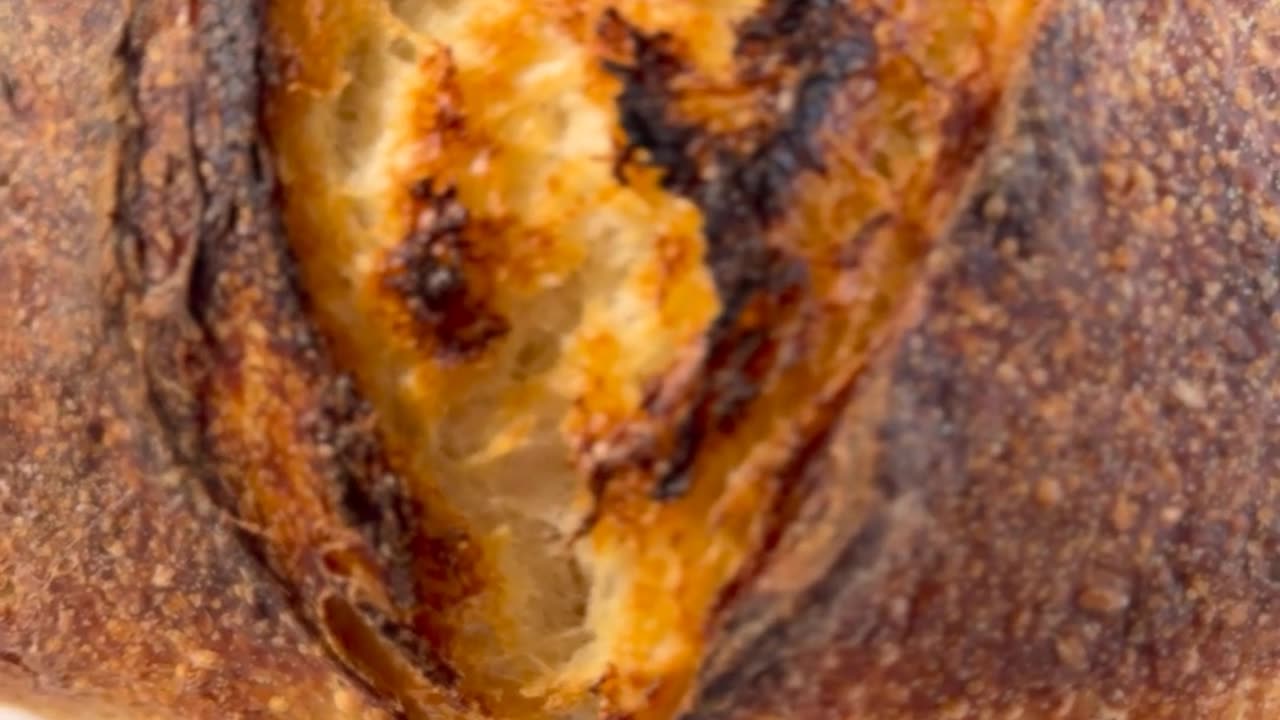 Can you bake a Frozen Sourdough Loaf -Let's try it! #bread #sourdough #baking