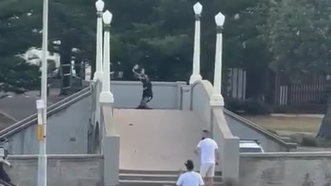 The 2 dogs in Bondi Beach have been neutralised