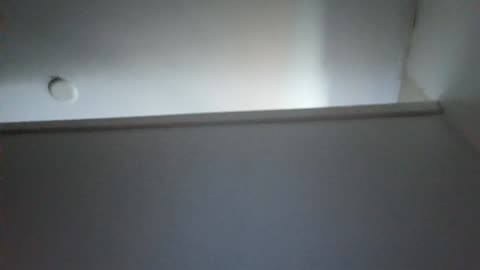 Cool click bait insert here #2