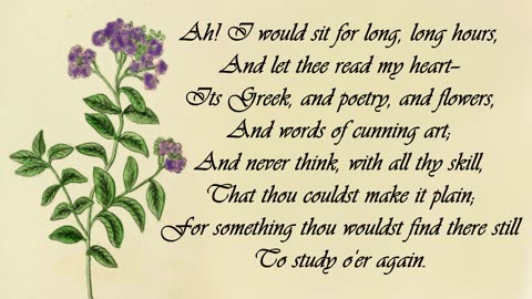 Heliotrope - The Language of Flowers