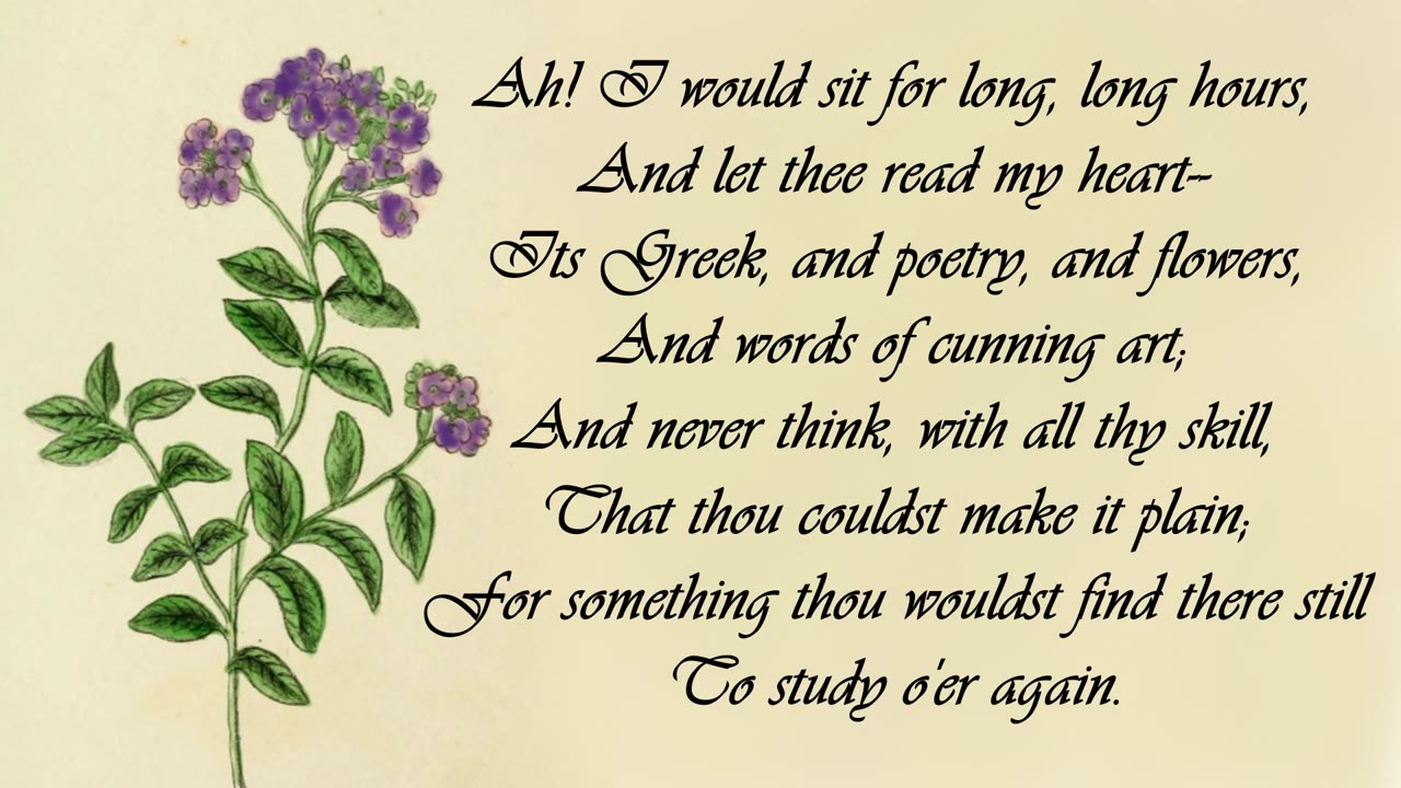 Heliotrope - The Language of Flowers