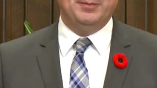 Mark Kearney did not receive a majority mandate from Canadian voters