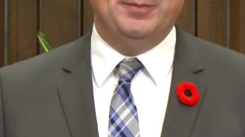 Mark Kearney did not receive a majority mandate from Canadian voters