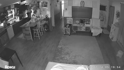 👻😱 They Thought They Were Alone! Shocking Living Room Capture | TheHauntingHour