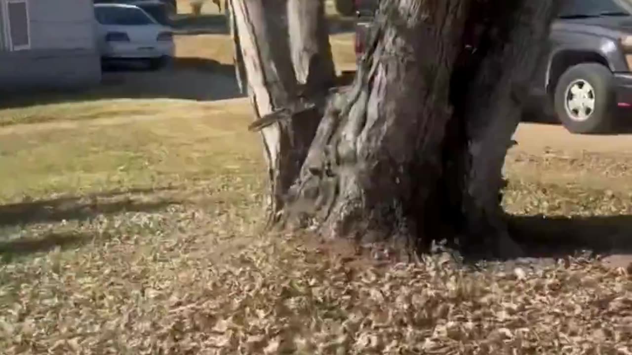 A CBP agent is chasing an illegal alien