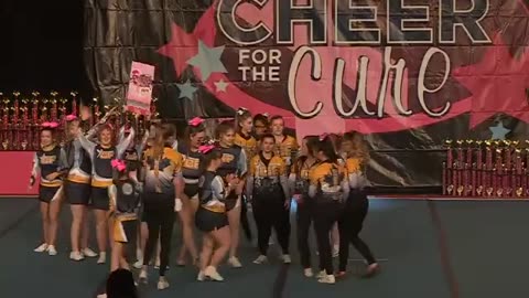 CheerForce WolfPack Special Needs Cheer For The Cure 2014