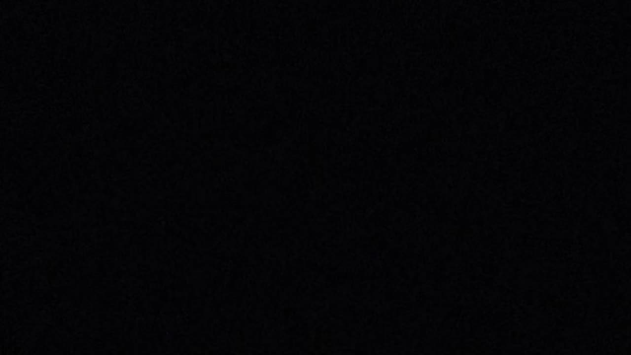 ˚₊ elven warrior doll ⚔️˚₊