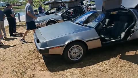 Concours at Fountainhills Car Show Delorians