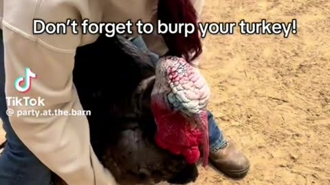 Don't forget to burp you turkey