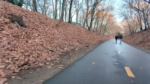 COCHITUATE RAIL TRAIL BIKE PATH ADVENTURE NUMBA WAN