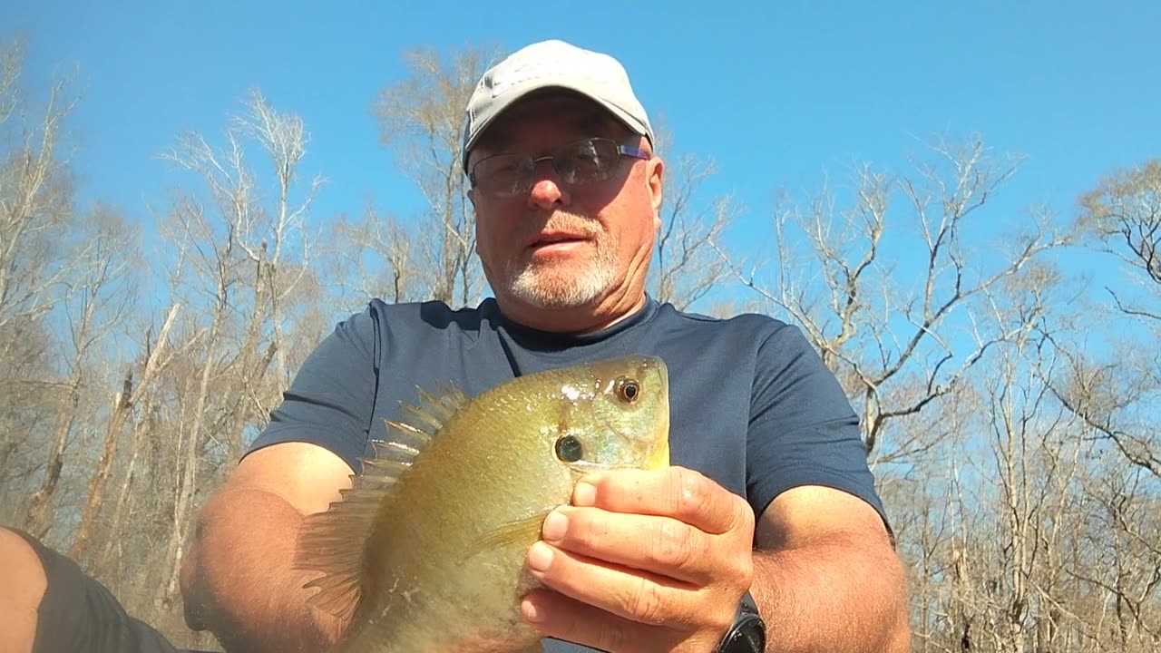 It's a two-hander sunfish