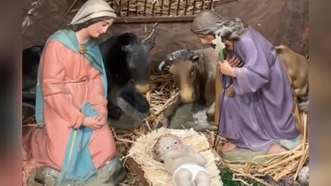 Fiesta de la Sagrada Familia - Padre Juan Molina