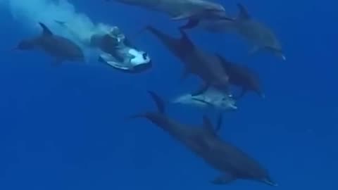 🔥 Top Videos You Have to See to Believe 💯