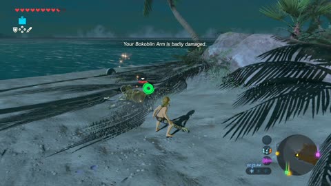 Zelda: Breath of the Wild (Switch 2) – Part 23