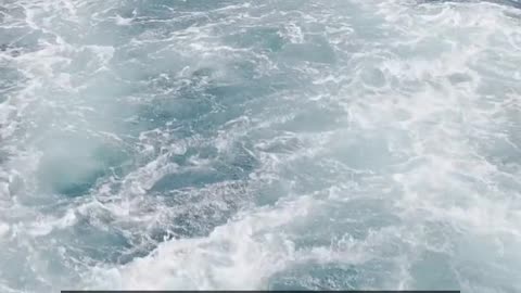 Daily Horoscope | Scorpio 🌟