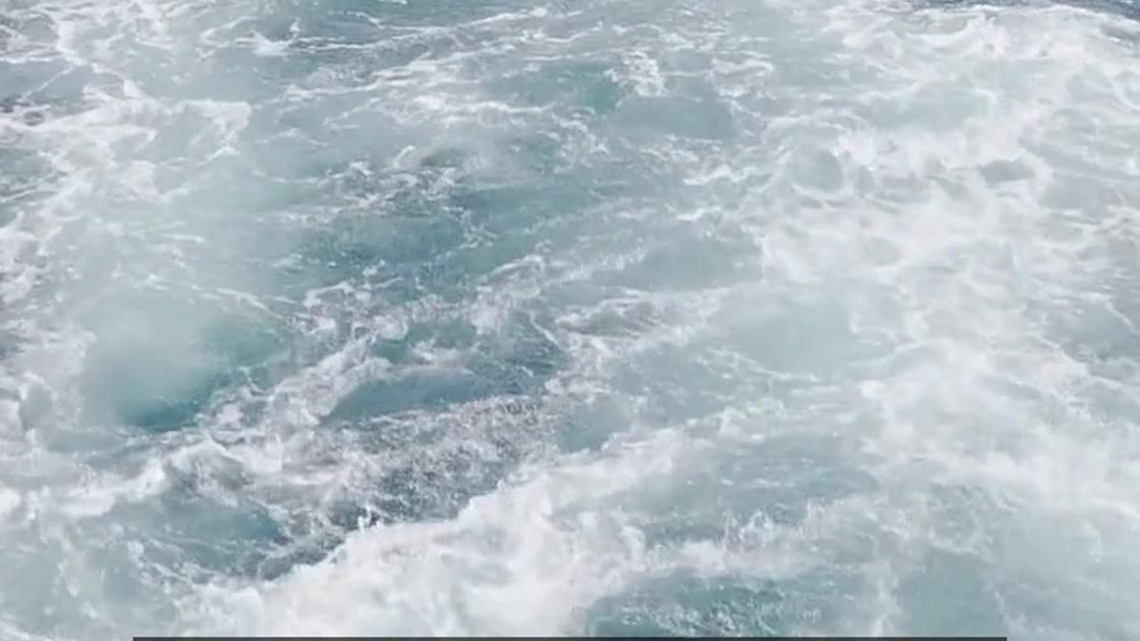 Daily Horoscope | Scorpio 🌟