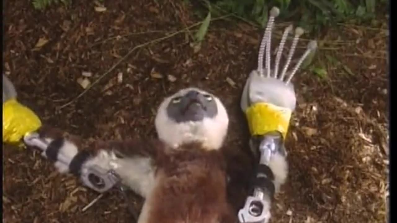 Zoboomafoo WETA September 11, 2001 730am-800am EDT