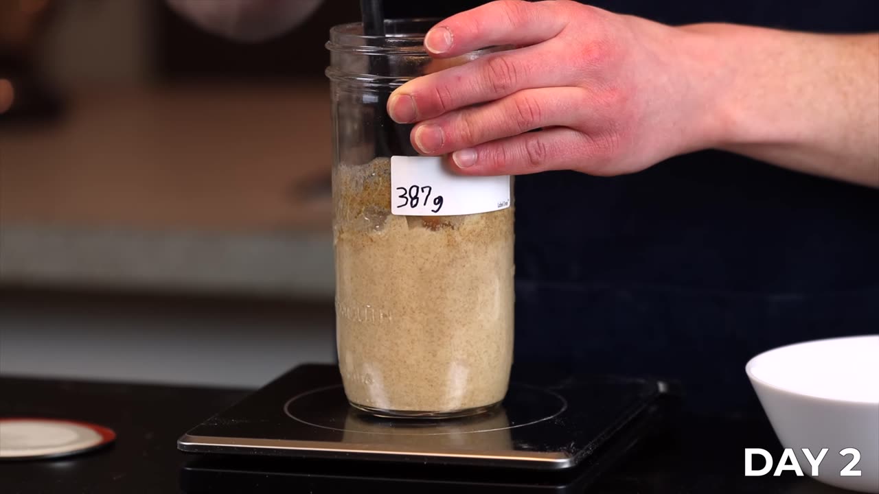 HOW TO MAKE AND MAINTAIN A SOURDOUGH STARTER