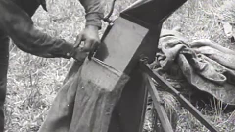 Harvesting and Threshing Wheat - Harvesting and Threshing Wheat - fc-fc-2025