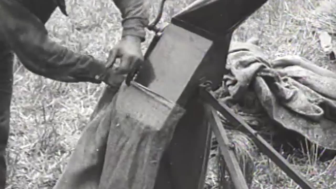 Harvesting and Threshing Wheat - Harvesting and Threshing Wheat - fc-fc-2025