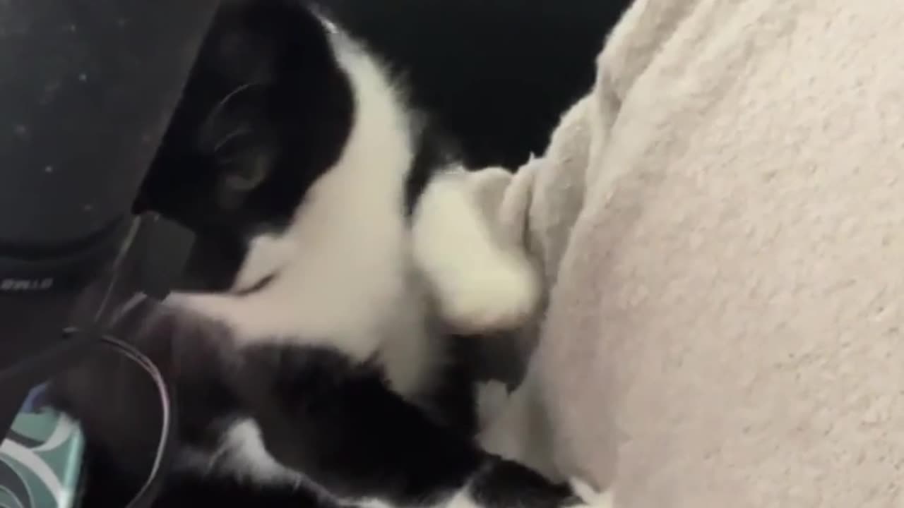 Hard times made better when he is this cute 3