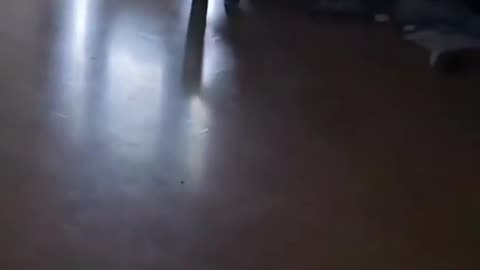 So excited to finally have a friend 😍