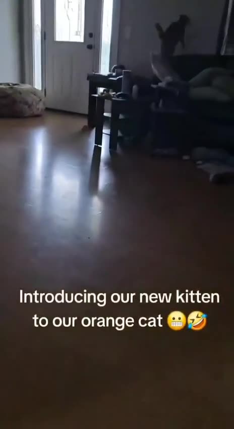 So excited to finally have a friend 😍