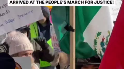 Illegals with foreign flags march in front of Trump Tower in Chicago to demand zero deportations