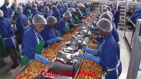 Western Cape Unemployment Plunges to Ten-Year Low