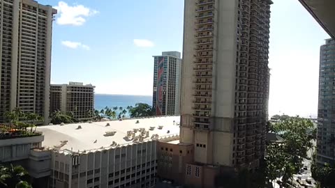 fatty demon pig - 2025 - YT - USA - November 25th or November 24th in USA part 005