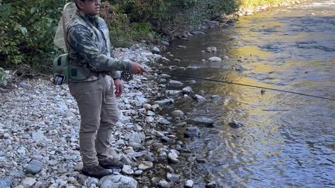 Master the Roll Cast: Fly Fishing Basics Made Easy