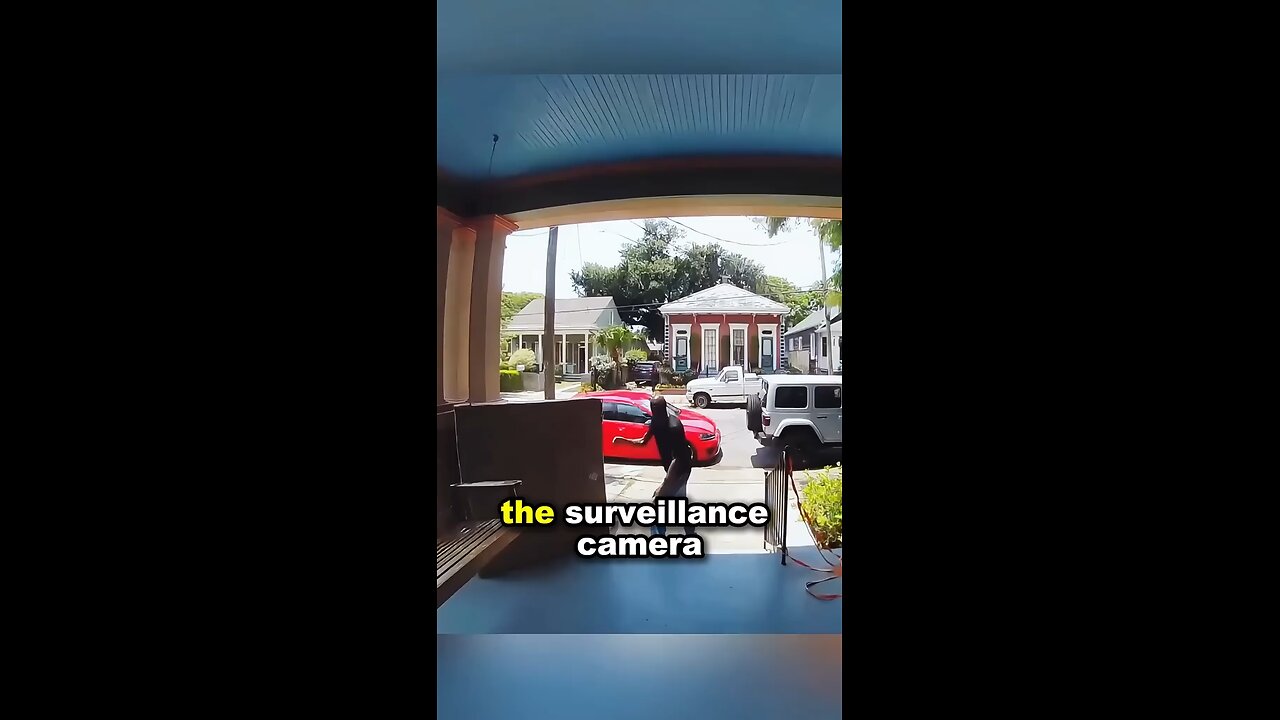 Thieves caught on camera pretending to be innocent—awkward moment unfolds. #thief #delivery #japd