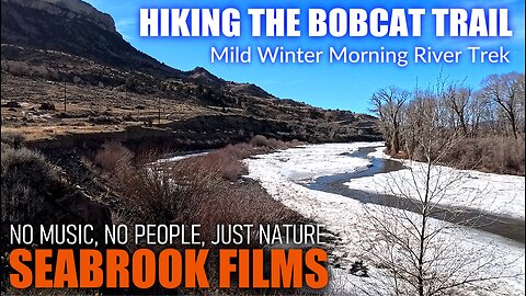 Hiking the Bobcat Trail: Mild Winter Morning River Trek