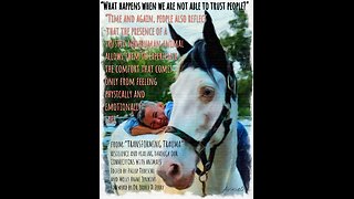 “Don’t Give Up On Me” Thank You Vid for Carla w Annie’s horse artwork