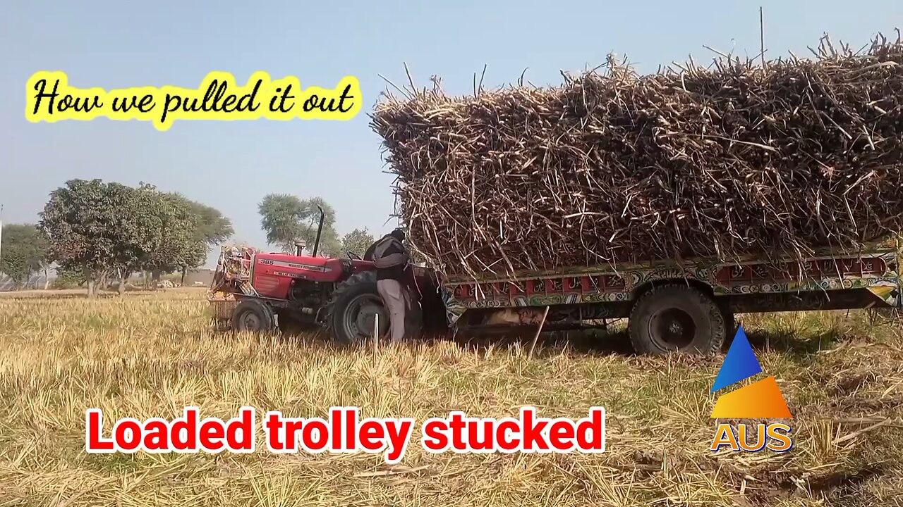 Sugarcane loaded trolley stucked