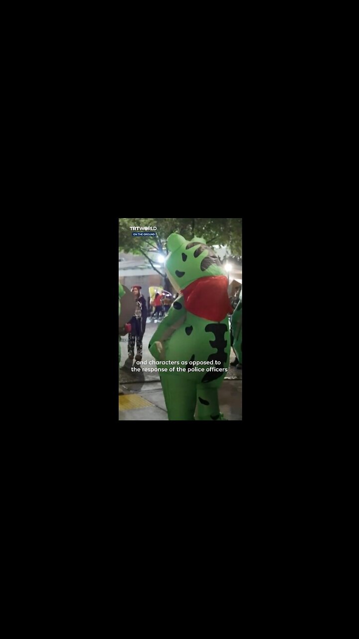 Frog costumes show up in multiple protests in Chicago, Austin, DC, Portland, San Fran