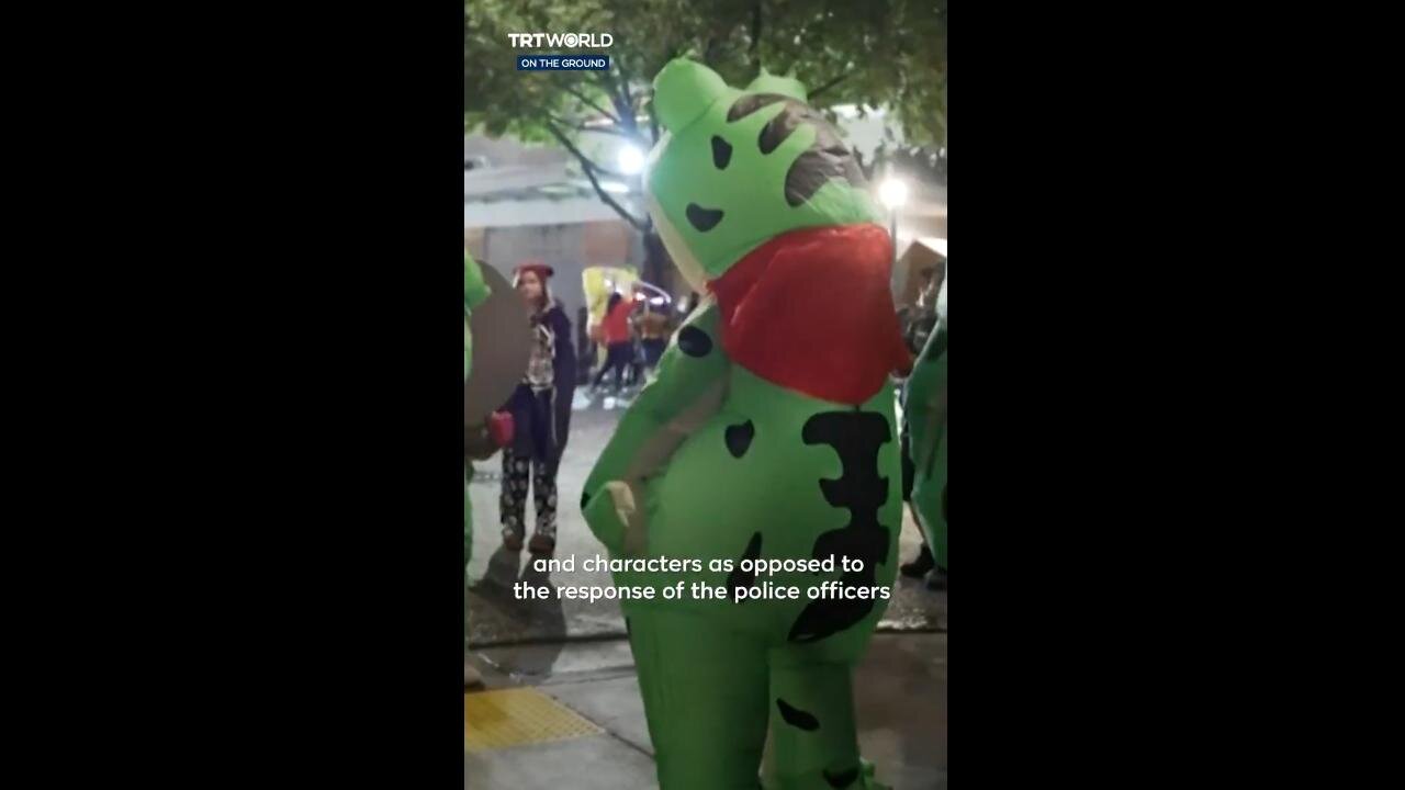 Frog costumes show up in multiple protests in Chicago, Austin, DC, Portland, San Fran