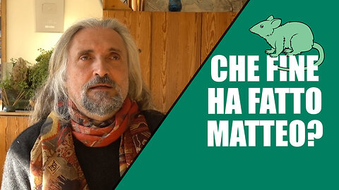Che fine ha fatto Matteo?
