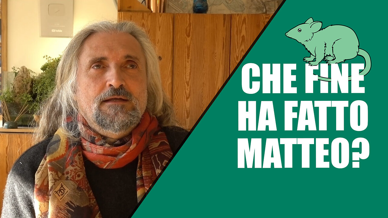 Che fine ha fatto Matteo?