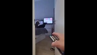 Brainwashed Dogs 🤣 Addicted to Watching TV [got master trained]