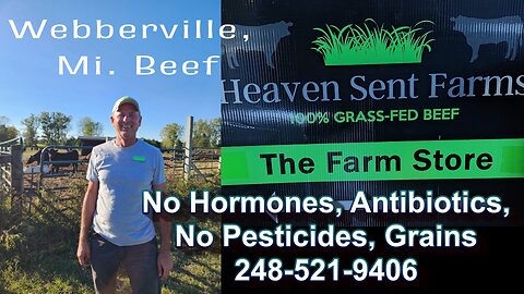 Ross Jeffreys Beef Farm