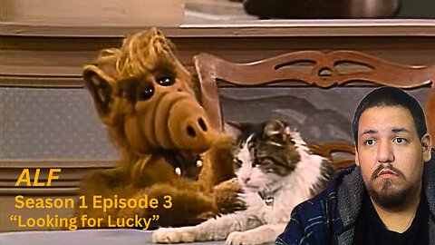 ALF | Season 1, Episode 3 | Looking for Lucky | TV Show Reaction